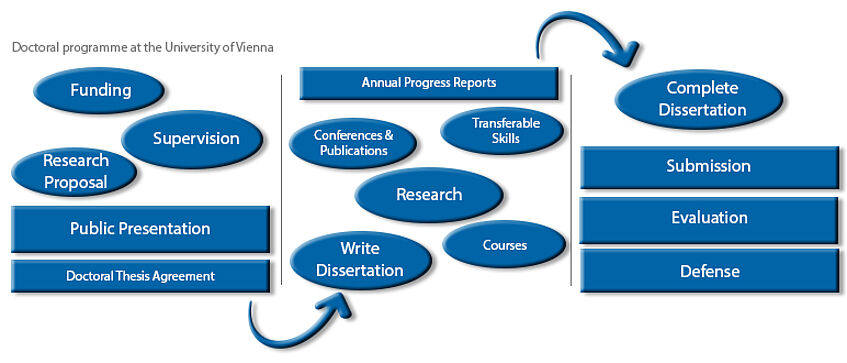 how does the phd process work